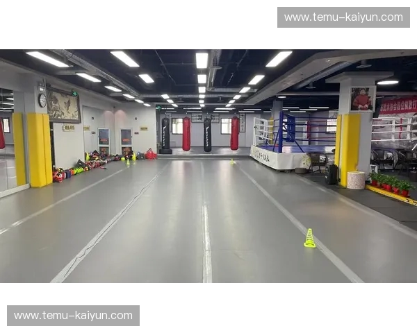 搏击失误:从挡牌到人生,如何把每一次倒下变成下一次站起的力量 搏击失误:从挡牌到人生,如何把每一次倒下变成下一次站起的力量